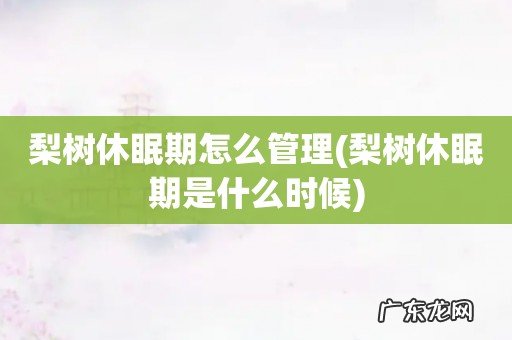 梨树休眠期是什么时候 梨树休眠期怎么管理