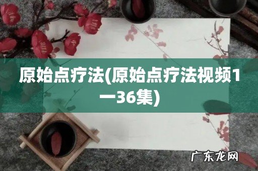 原始点疗法视频1一36集 原始点疗法