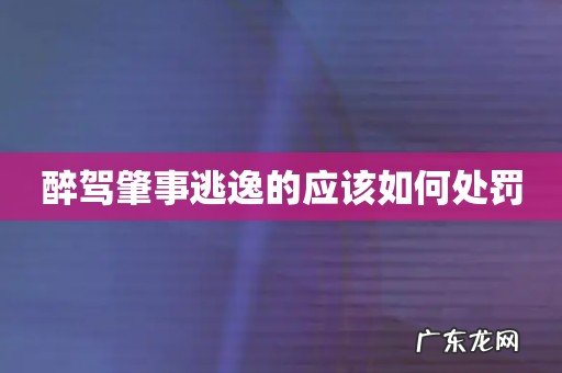 醉驾肇事逃逸的应该如何处罚