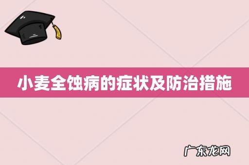 小麦全蚀病的症状及防治措施