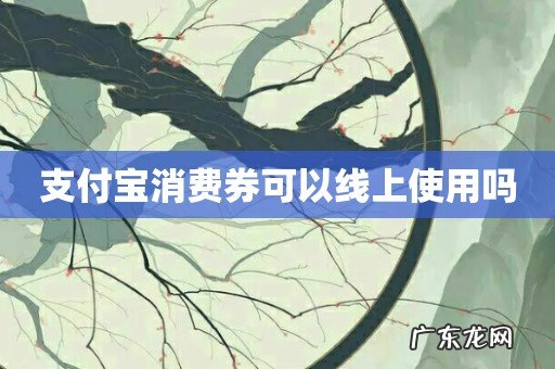 支付宝消费券可以线上使用吗