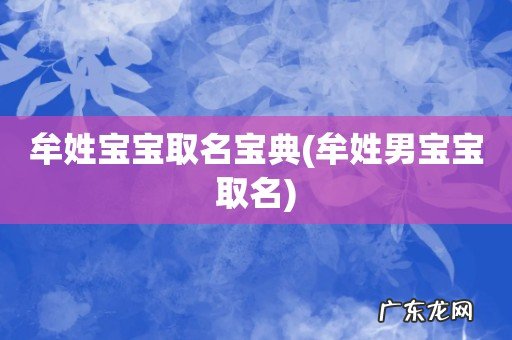 牟姓男宝宝取名 牟姓宝宝取名宝典