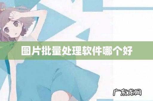 图片批量处理软件哪个好