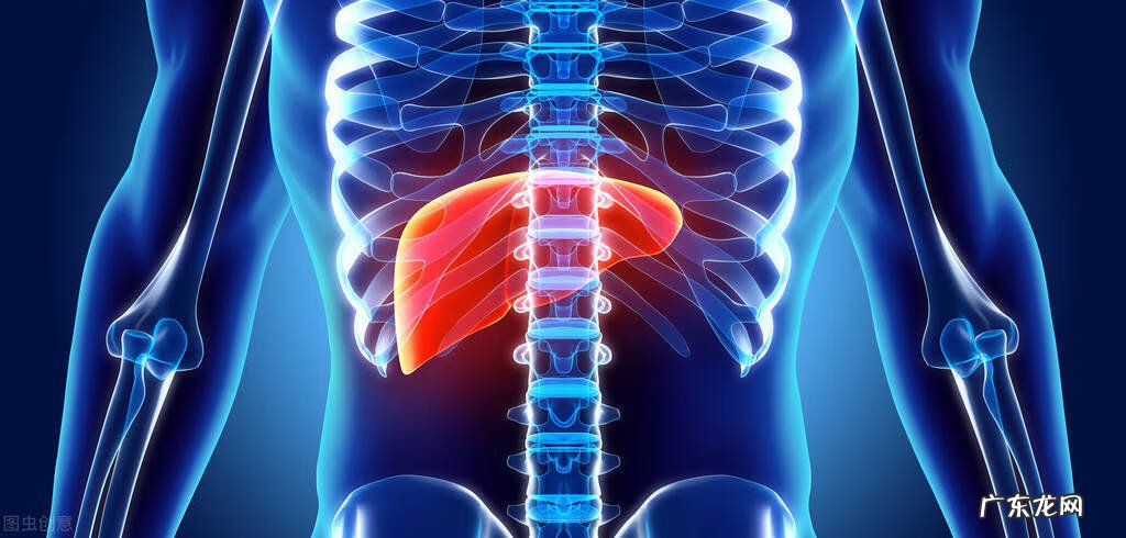 hc是什么意思 工作 HCV什么意思