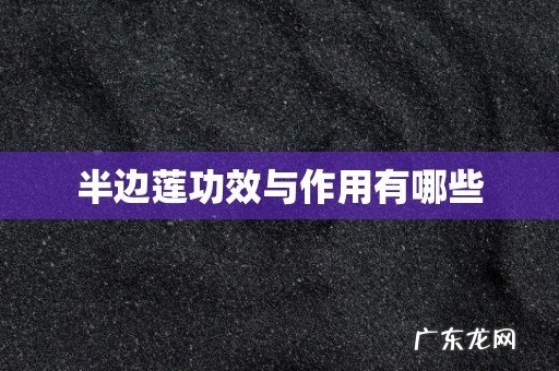 半边莲功效与作用有哪些