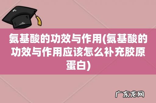 氨基酸的功效与作用应该怎么补充胶原蛋白 氨基酸的功效与作用