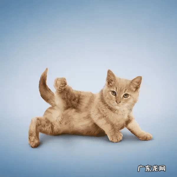 瑜伽头像个性吉利 风水微信头像瑜伽