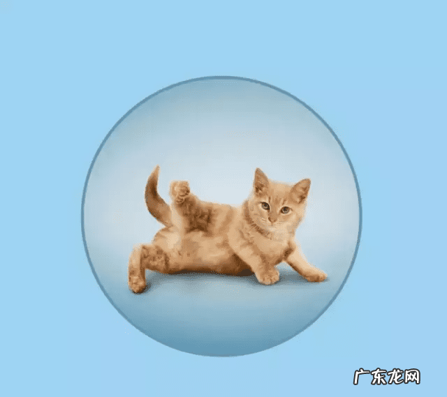 瑜伽头像个性吉利 风水微信头像瑜伽