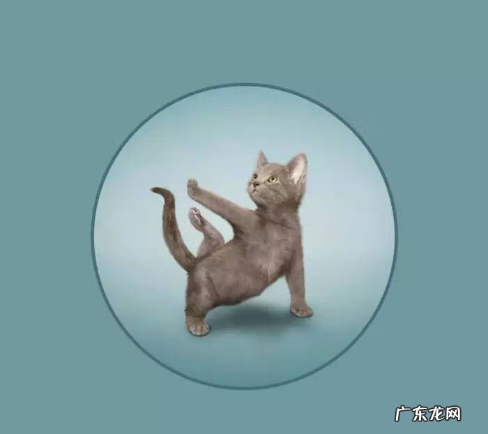 瑜伽头像个性吉利 风水微信头像瑜伽