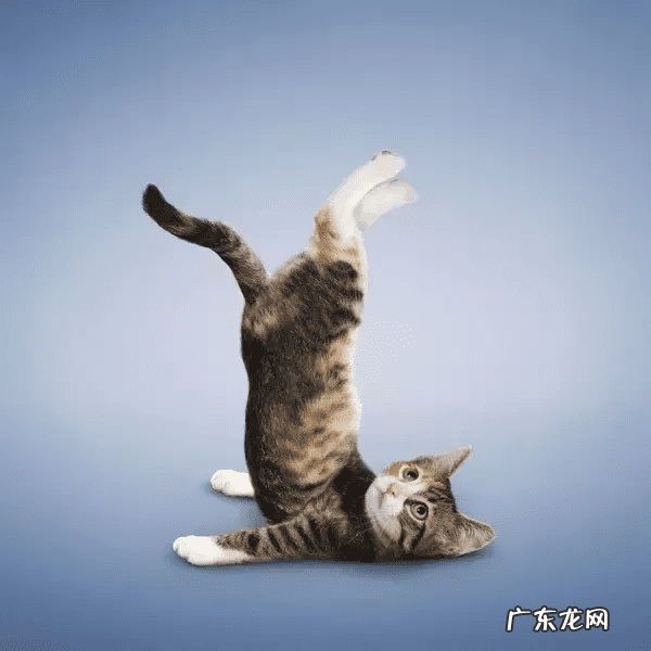 瑜伽头像个性吉利 风水微信头像瑜伽