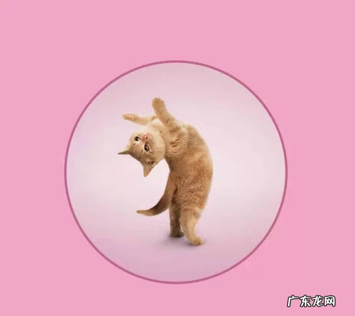 瑜伽头像个性吉利 风水微信头像瑜伽