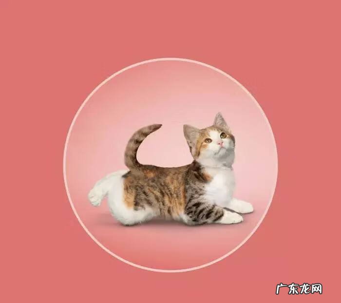 瑜伽头像个性吉利 风水微信头像瑜伽