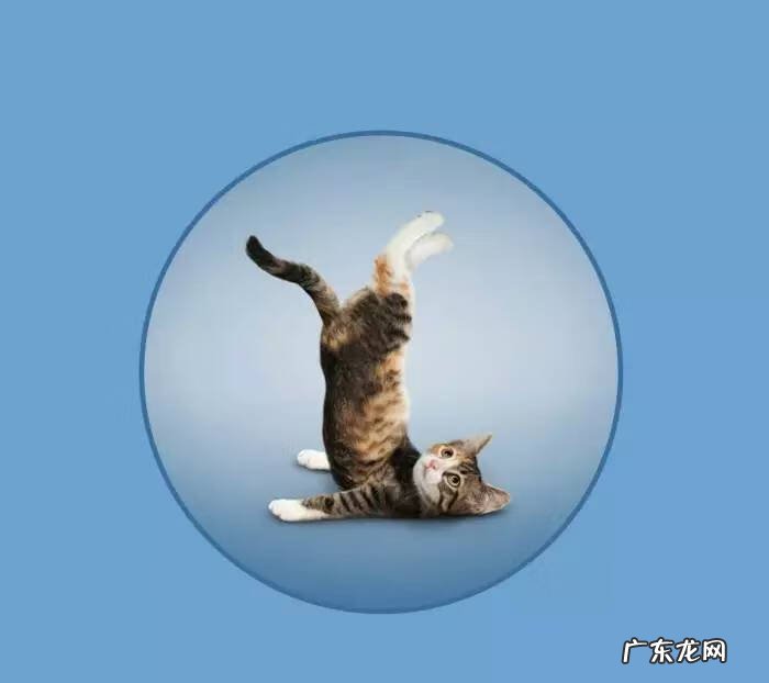 瑜伽头像个性吉利 风水微信头像瑜伽