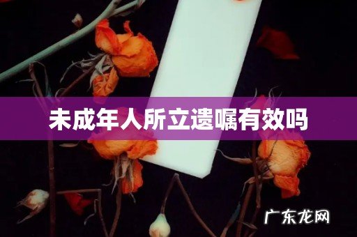 未成年人所立遗嘱有效吗