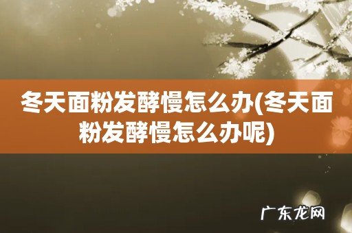 冬天面粉发酵慢怎么办呢 冬天面粉发酵慢怎么办