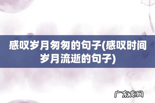 感叹时间岁月流逝的句子 感叹岁月匆匆的句子