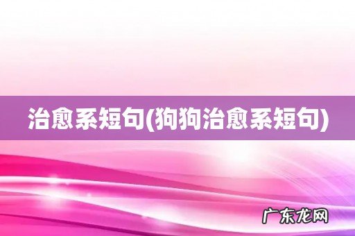 狗狗治愈系短句 治愈系短句