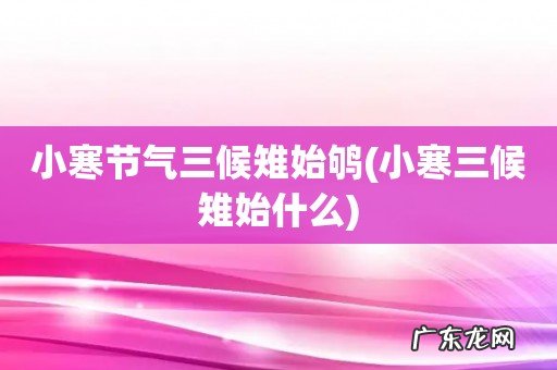 小寒三候雉始什么 小寒节气三候雉始鸲