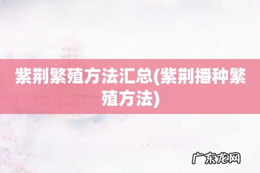 紫荆播种繁殖方法 紫荆繁殖方法汇总