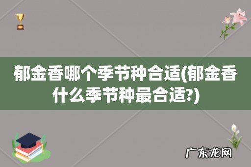 郁金香什么季节种最合适? 郁金香哪个季节种合适