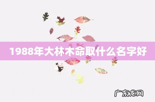1988年大林木命取什么名字好