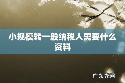 小规模转一般纳税人需要什么资料