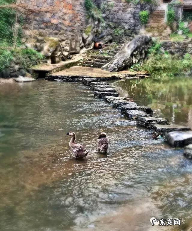 贺州怎么去黄姚古镇怎么坐车 航拍贺州昭平黄姚风水名地