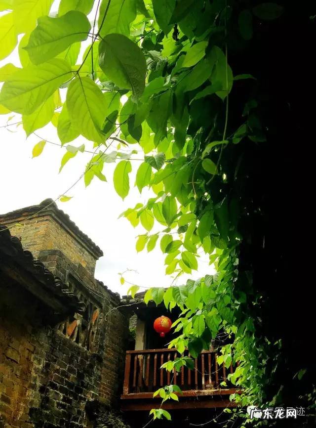 贺州怎么去黄姚古镇怎么坐车 航拍贺州昭平黄姚风水名地