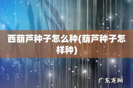 葫芦种子怎样种 西葫芦种子怎么种