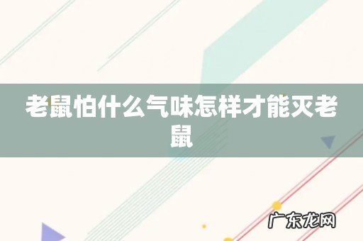 老鼠怕什么气味怎样才能灭老鼠