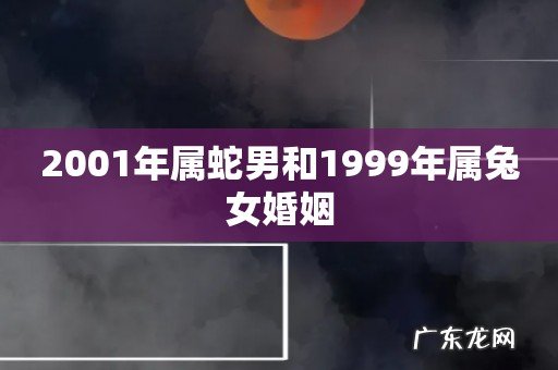 2001年属蛇男和1999年属兔女婚姻