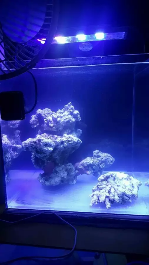 家里面放石头好不好 宿舍里放石头风水好吗