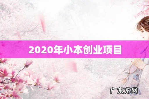 2020年小本创业项目
