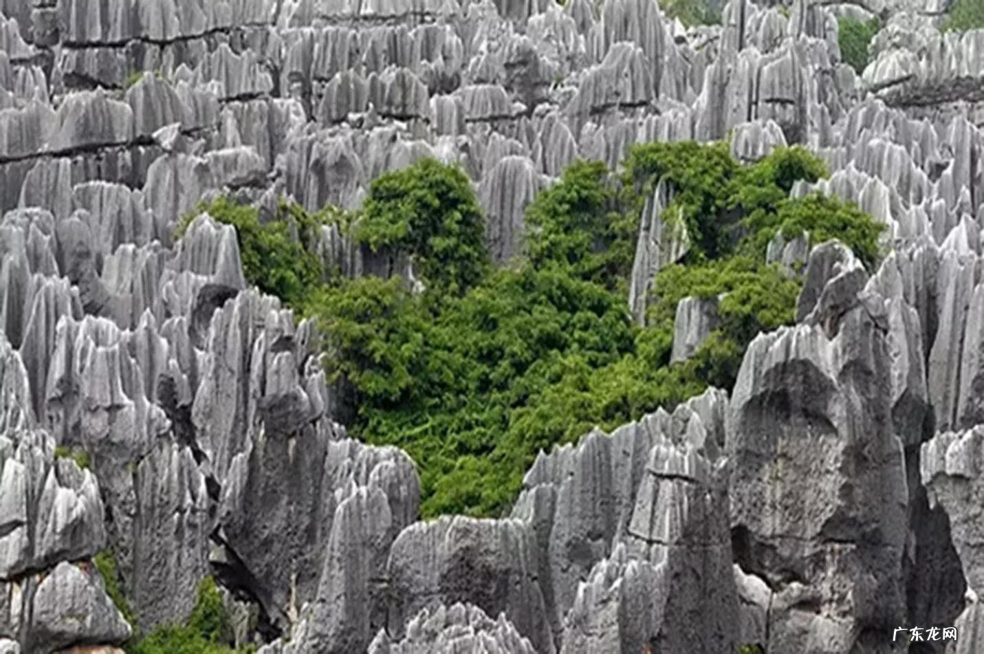 大自然景观作文 大自然景观