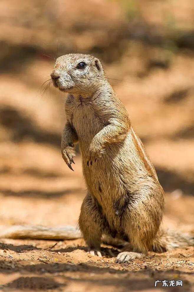 大自然景观作文 大自然景观