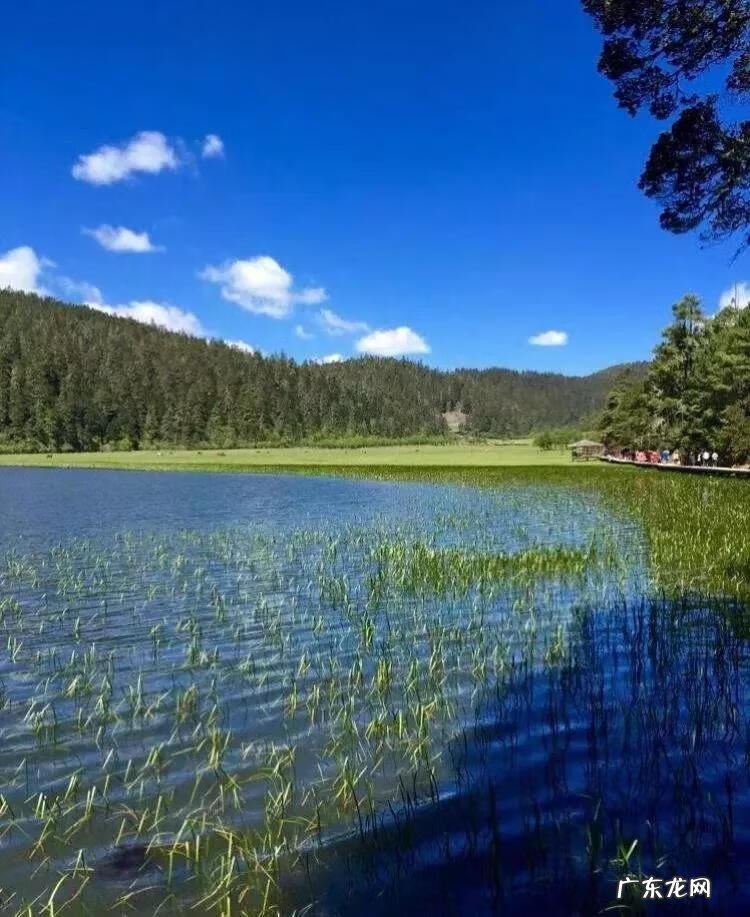 大自然景观作文 大自然景观