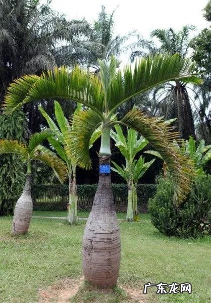 大自然景观作文 大自然景观