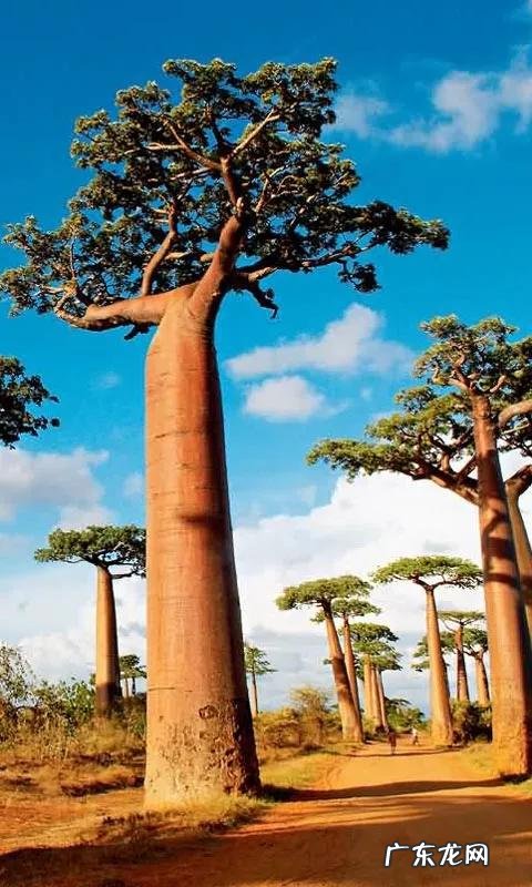 大自然景观作文 大自然景观