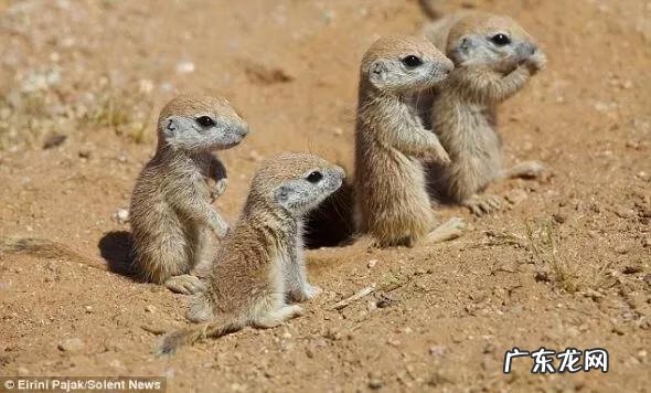 大自然景观作文 大自然景观