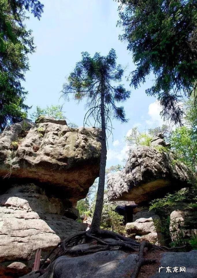 大自然景观作文 大自然景观