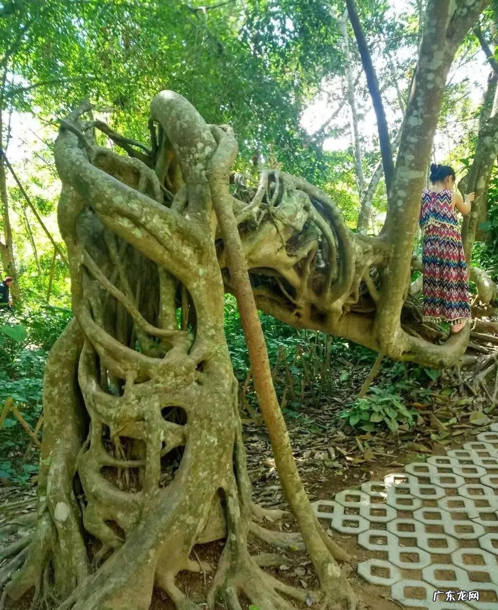 大自然景观作文 大自然景观