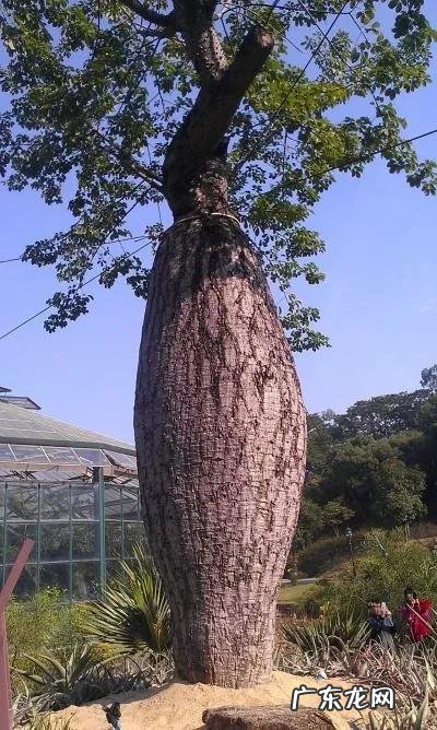 大自然景观作文 大自然景观