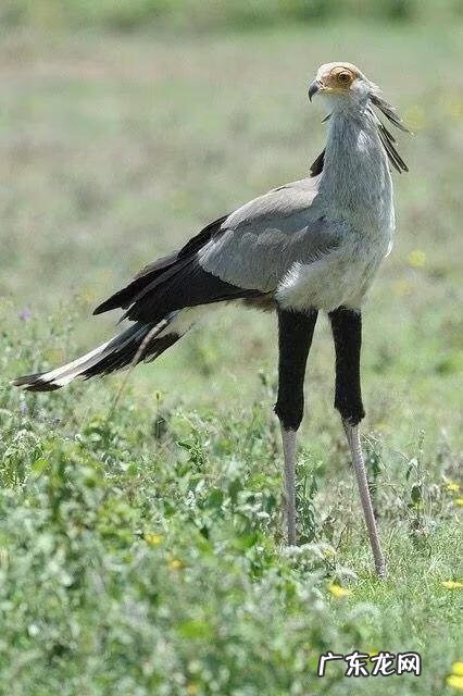 大自然景观作文 大自然景观