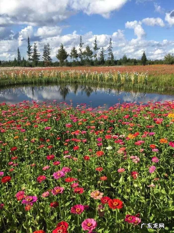 大自然景观作文 大自然景观