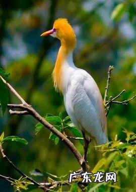 大自然景观作文 大自然景观