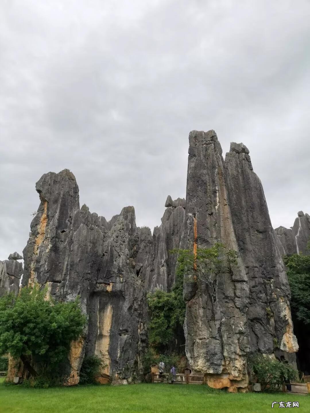 大自然景观作文 大自然景观