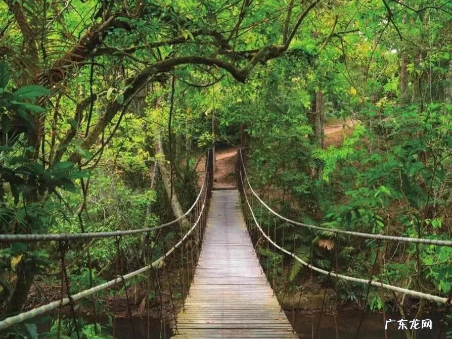 大自然景观作文 大自然景观