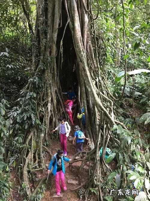 大自然景观作文 大自然景观