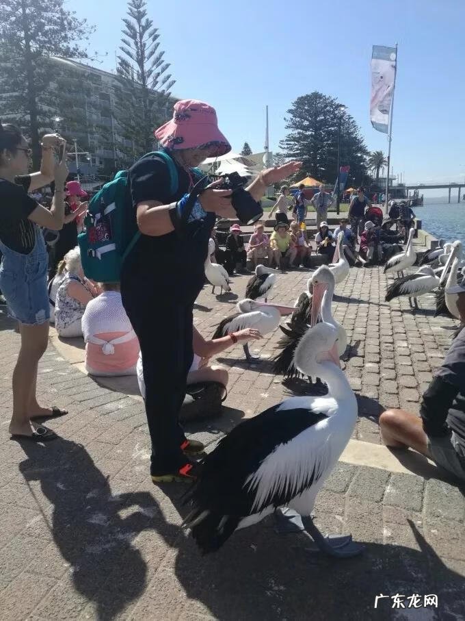 大自然景观作文 大自然景观