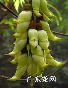 大自然景观作文 大自然景观